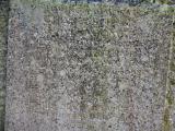 image of grave number 954268